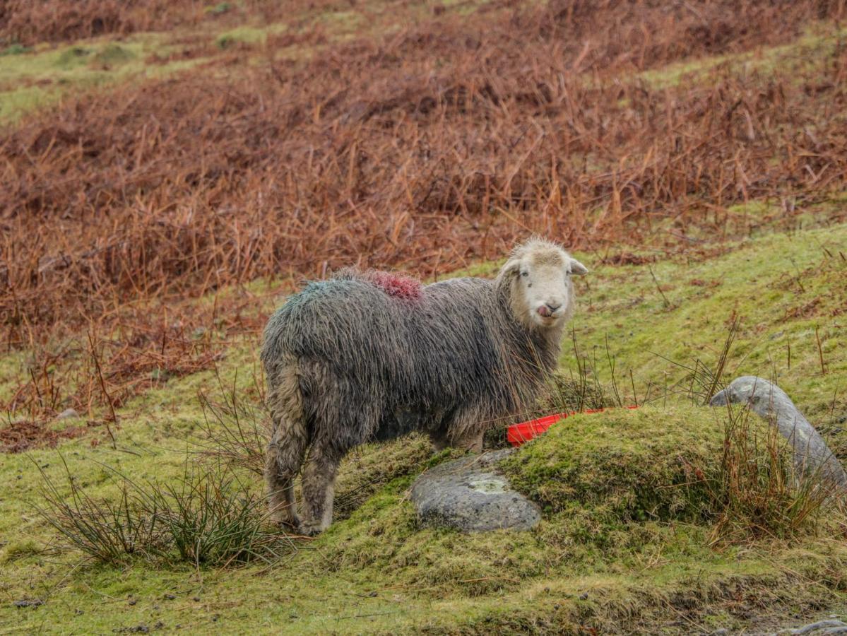 Wigton Swaledale Watch Garden Annexeヴィラ エクステリア 写真